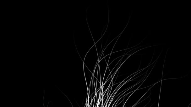 抽象自然风格的图形背景 黑色白色 — 图库视频影像