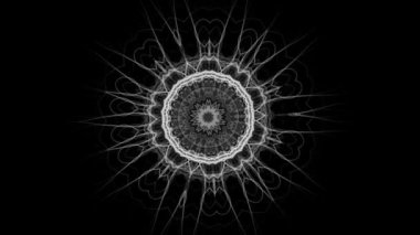 Güzel süs çiçeği deseni, siyah arka plan.