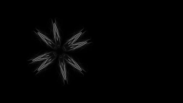 Grafické Pozadí Abstraktní Květiny Izolované Černém — Stock video