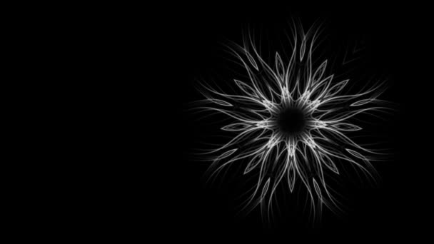 Modern grafikus háttere absztrakt virág, izolált fekete
