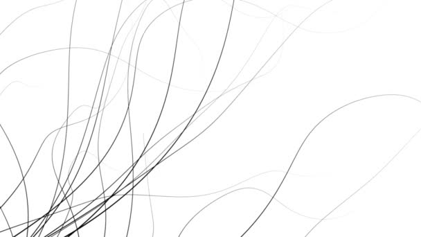 Fond Nature Abstrait Dans Style Graphique Minimaliste Noir Sur Blanc — Video