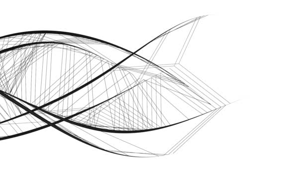 Estructura Gráfica Abstracta Líneas Negras Fluidas Sobre Fondo Blanco — Vídeos de Stock