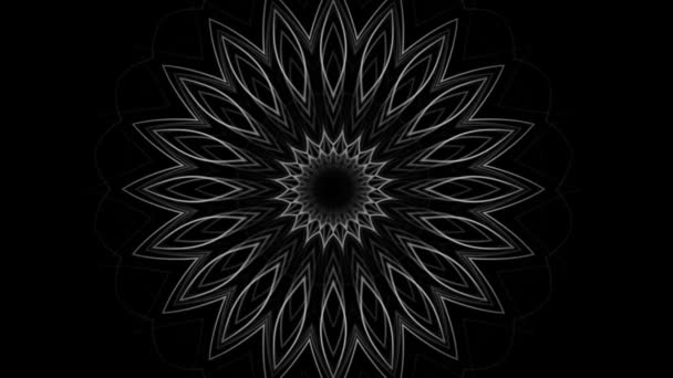 Σκούρο Φόντο Floral Μοτίβο Απρόσκοπτη Επανάληψη — Αρχείο Βίντεο