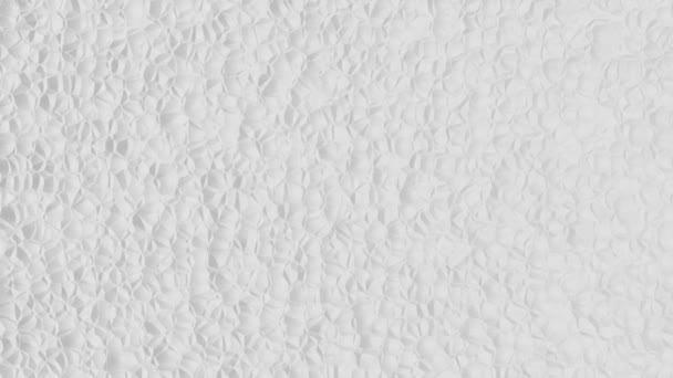 Abstraktní Bílé Pozadí Jemnou Strukturou Skořápky — Stock video