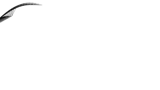 Lignes noires fluides abstraites - fond graphique sans couture, sur blanc . 