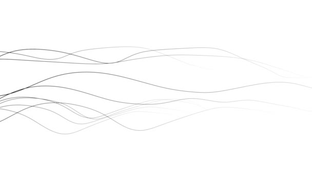 Fond fines lignes ondulées - noir sur blanc 