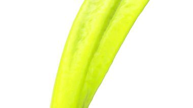 Akan açık yeşil renk, beyaz arka plan üzerinde izole