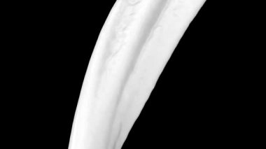 Siyah arka plan üzerinde izole, akan beyaz renk etrafında dön