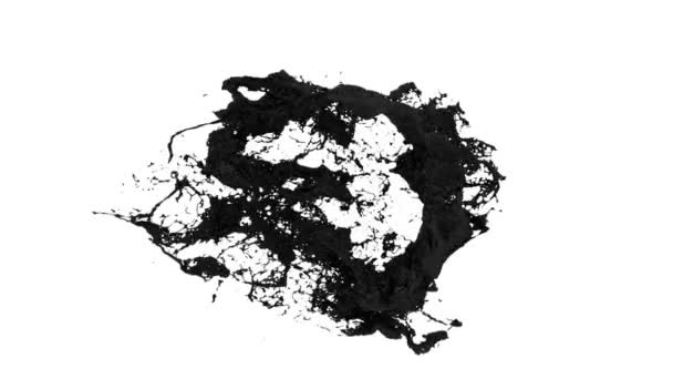 Anillo Color Negro Salpica Salvaje Turbulento Aislado Sobre Fondo Blanco — Vídeos de Stock