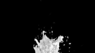 Yavaş çekimde sıçrayan beyaz rengin yakın çekim görünümü, siyah arka plan da izole. 
