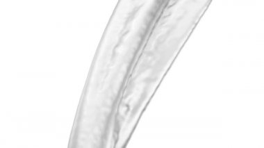 Yavaş çekimde akan parlak metal, beyaz arka plan üzerinde izole. 