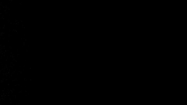 Fluxo Energia Abstrato Partículas Brilhantes Movimento Fluxo Sobre Fundo Preto — Vídeo de Stock