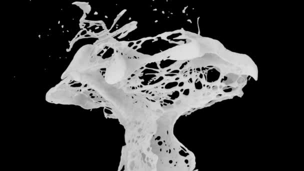 Белый Цвет Брызги Замедленной Съемке Изолированные Черном Фоне — стоковое видео