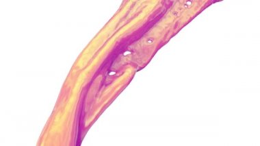 Dalgalı hareketle akan karışık altın ve pembe renk, beyaz arka plan üzerinde izole. 