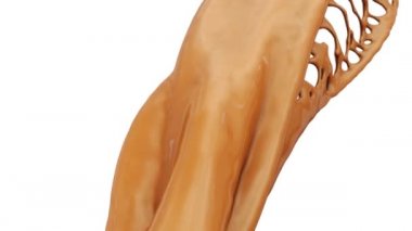 Beyaz arka plan üzerinde izole tatlı akan karamel krem, yakın çekim görünümü