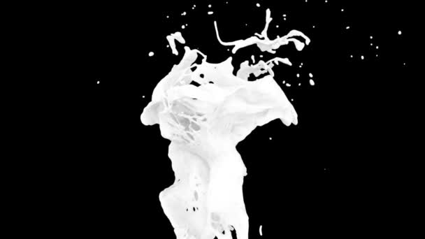 Белый Цвет Брызги Абстрактные Замедленной Съемке Изолированные Черный — стоковое видео