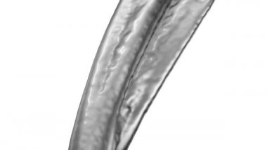 Koyu metal yavaş çekimde akan, beyaz arka plan üzerinde izole. 