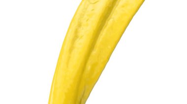 Beyaz arka planda izole edilmiş akan sarı rengin etrafında dön. 