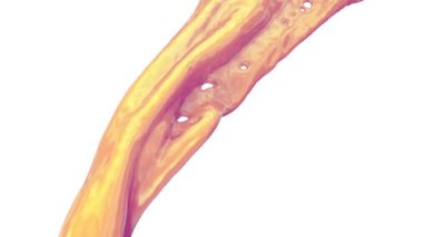 Dalgalı hareketle akan altın pembe renk, beyaz arka plan üzerinde izole