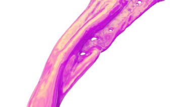 Karışık pembe ve altın sarısı renk dalgalı hareket akan, beyaz arka plan üzerinde izole