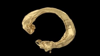 renkli su sıçraması ve yavaş hareket, siyah arka plan akan halka