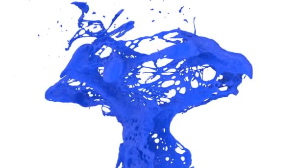 Color Azul Salpica Cámara Lenta Aislado Sobre Fondo Blanco — Vídeo de stock