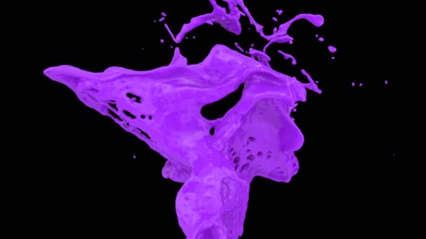 Vista Cerca Salpicaduras Pintura Púrpura Cámara Lenta Aislado Negro — Vídeos de Stock