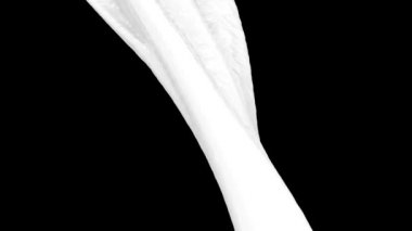 Siyah arka plan üzerinde izole akan beyaz boyanın yakın çekim görünümü