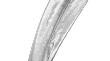 Yavaş çekimde akan bulanık metal, beyaz arka plan üzerinde izole. 