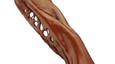 Akan çikolata, alfa kanal dahil