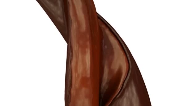 Flux de chocolat noir et de crème de café au ralenti, isolé sur fond blanc 