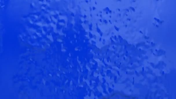 Tło Niebieskiej Farby Spływającej Dół Ściany — Wideo stockowe