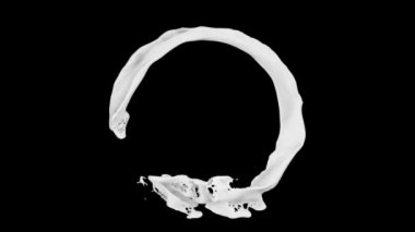 su sıçraması halkası ve yavaş hareket, siyah arka plan üzerinde izole akan. 