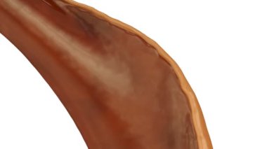 Yavaş çekimde akan çikolata karamel krem, beyaz arka plan üzerinde izole