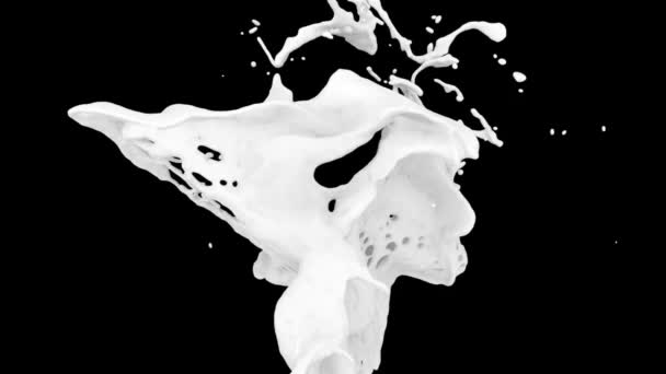 Крупним Планом Вид Білої Фарби Сплеск Повільному Русі Ізольовані Чорному — стокове відео