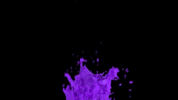 Close View Purple Color Splashing Slow Motion Isolated Black Background — Stock Video