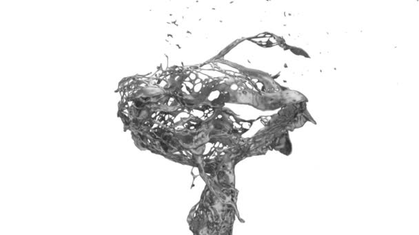 Abstracte Splash Van Donker Metaal Slow Motion Geïsoleerd Witte Achtergrond — Stockvideo