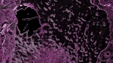 Pembe su ekrana sıçrayan - kamera fly-through, siyah arka plan üzerinde izole. 