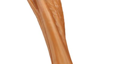 Beyaz arka plan üzerinde izole akan karamel yakın çekim görünümü