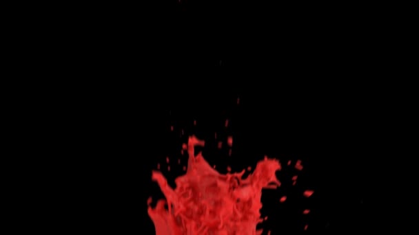 黒い背景に隔離されたスローモーションで赤色が飛び散るクローズアップビュー — ストック動画