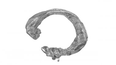 Türbülanslı hareket sıvı metal açık halka, beyaz arka plan üzerinde izole