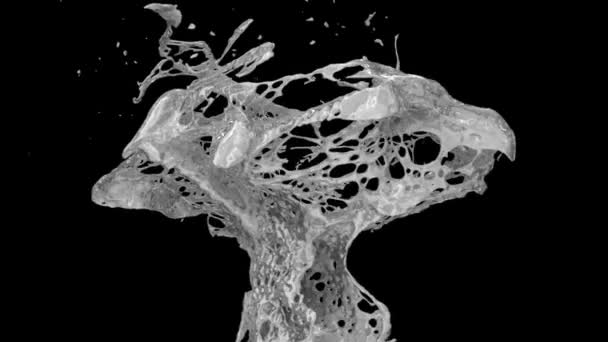 Argent brillant éclaboussures au ralenti, isolé sur fond noir . 