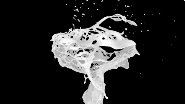 Абстрактный Всплеск Белой Краски Замедленном Режиме Изолированный Черном Фоне — стоковое видео