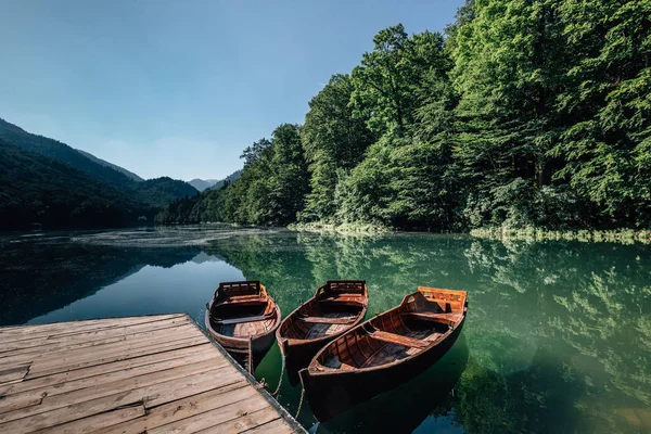 Parco Nazionale Biogradska Gora Montenegro Luglio Lago Biogradska Gora — Foto Stock