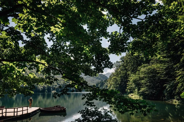 Parco Nazionale Biogradska Gora Montenegro Luglio Lago Biogradska Gora — Foto Stock