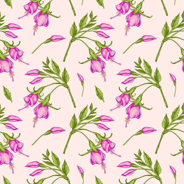 Patroon met roze fuchsia bloemen. — Stockvector