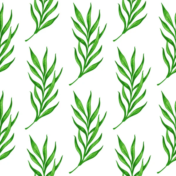Τροπικό μοτίβο με πράσινο κλαδί παλάμης — Διανυσματικό Αρχείο