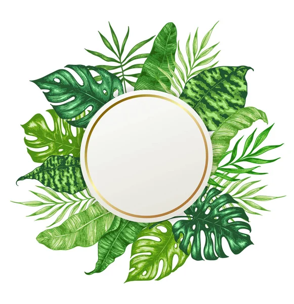 Tropical background with palm leaves — Stock Vector