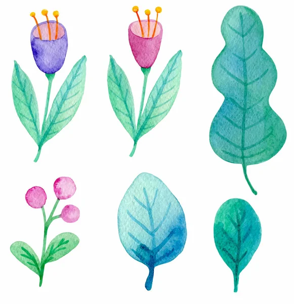 水彩花と葉のセット — ストックベクタ