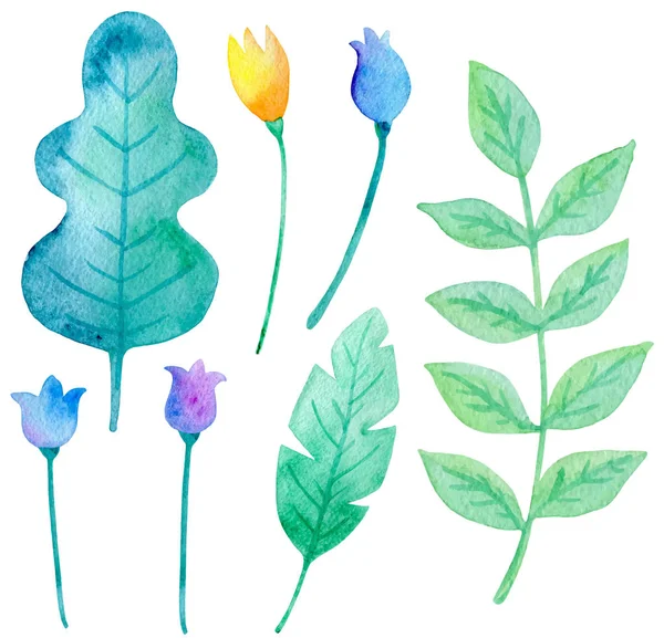 Set van aquarel bloemen en groene bladeren — Stockvector